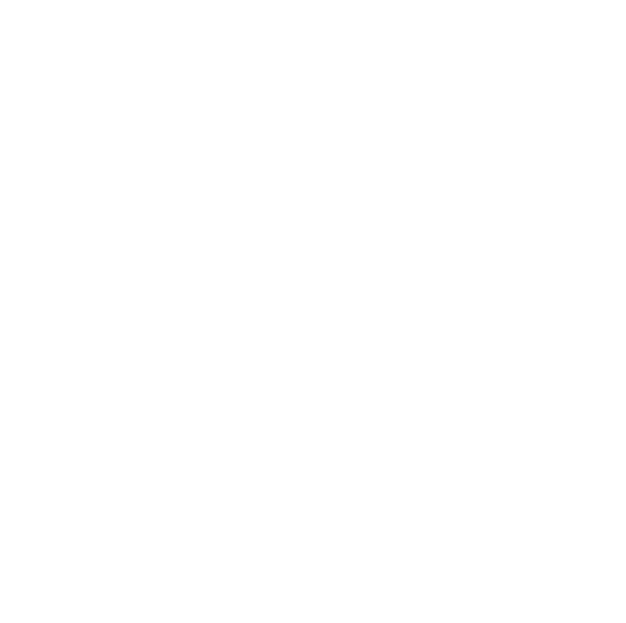 Zora Digital logo